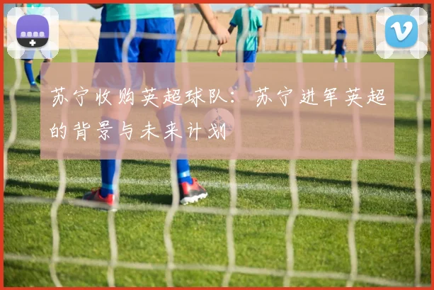 苏宁收购英超球队：苏宁进军英超的背景与未来计划