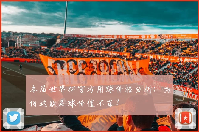 本届世界杯官方用球价格分析：为何这款足球价值不菲？
